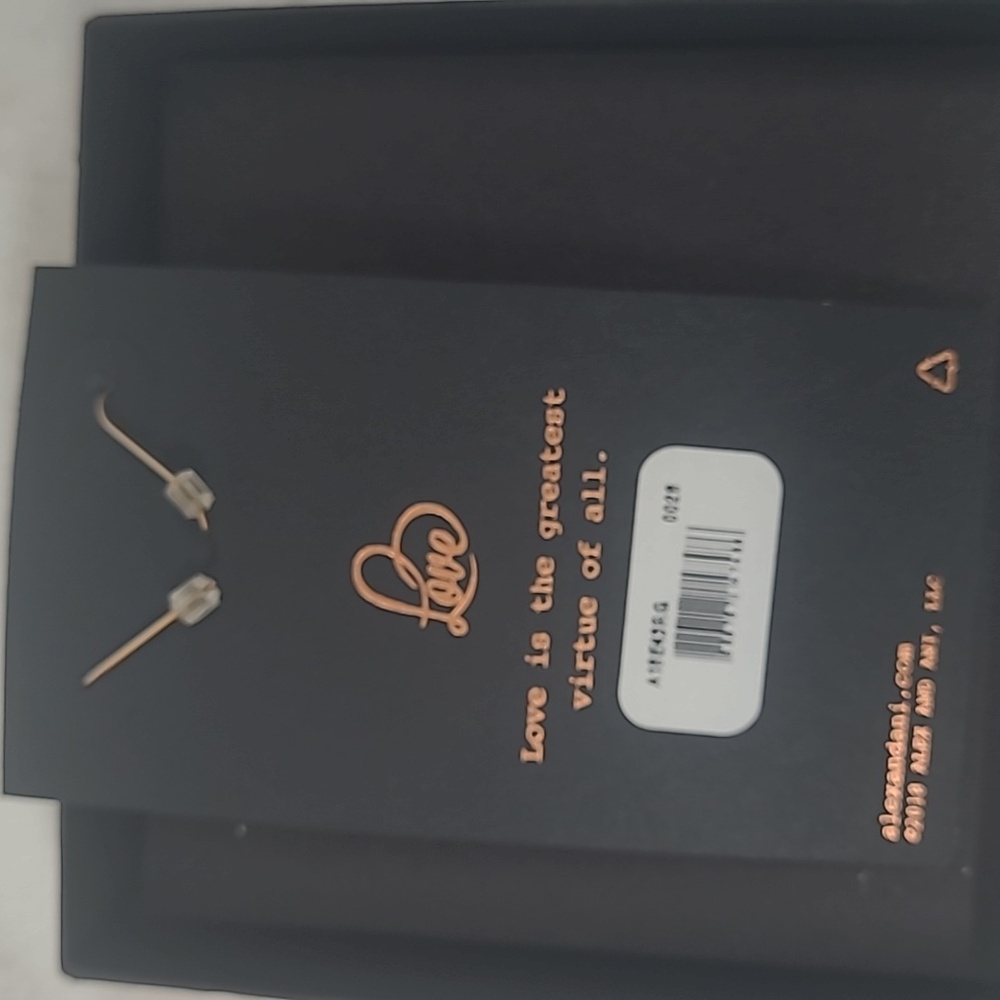 Alex and Ani Women's Heart Shaped Love Earrings - Picture 5 of 7